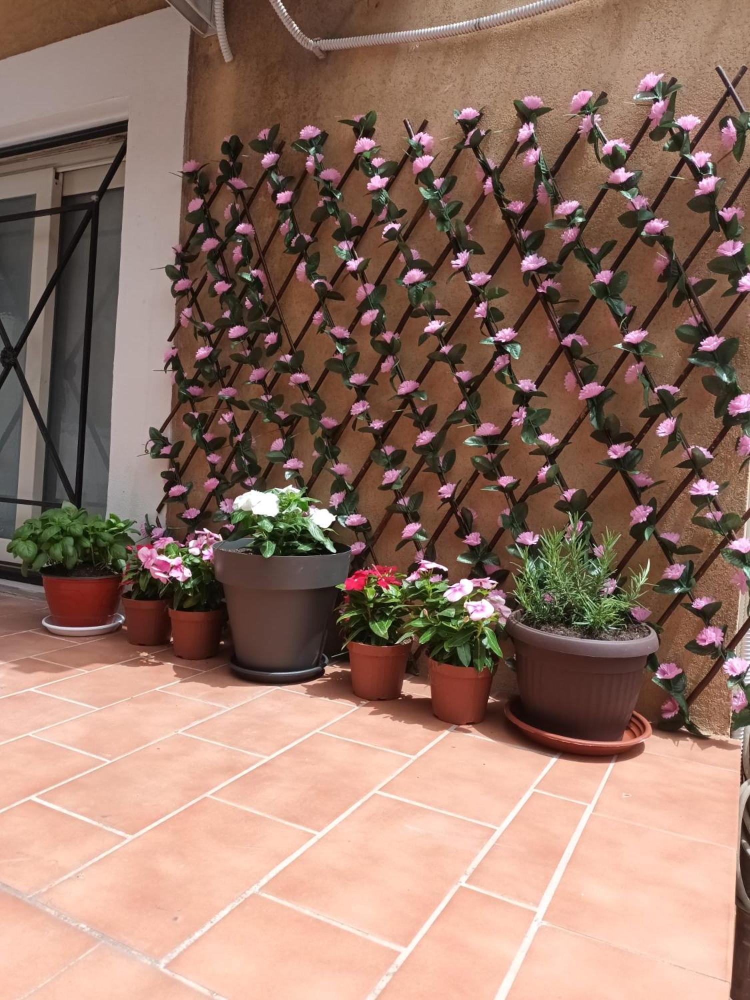 Le Case Del Cortile Κατάνια Εξωτερικό φωτογραφία